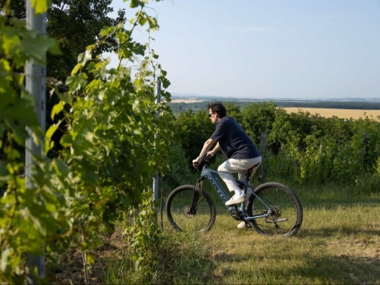 Élményeket ajándékba - E-bike gasztrotúra a Villányi borvidéken